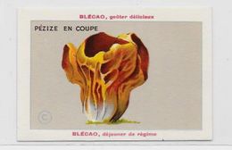 Chromo Champignon Mushroom 9,5 X 6,5 Texte Explicatif Au Dos Publicité Blécao - Andere & Zonder Classificatie