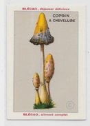 Chromo Champignon Mushroom 9,5 X 6,5 Texte Explicatif Au Dos Publicité Blécao - Andere & Zonder Classificatie