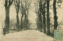 Cpa MERIGNAC 33 Allée Principale Et Château De La Remonte - Merignac