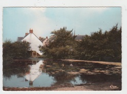 44 - LA CHAPELLE DES MARAIS / L'ETANG DE PENLY - La Chapelle Basse-Mer