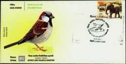 BIRDS-HOUSE SPARROW-SPECIAL COVER-DELHI-INDIA-2012-IC-203 - Sparrows