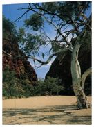 (800) Australia - NT - Simpson Gap - The Red Centre