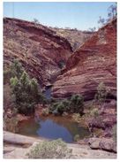 (800) Australia  - NT - Hamersley Gorge - The Red Centre