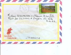 Nouvelle-Calédonie ( Lettre De 1988 De MontDoré Vers La France à Voir) - Cartas & Documentos