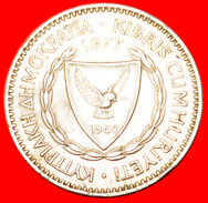 √ RAM: CYPRUS ★100 MILS 1977! LOW START ★ NO RESERVE! - Chypre