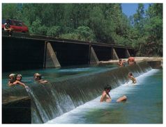 (125) Australia - NT - Katherine River Dam - Swimming - Katherine
