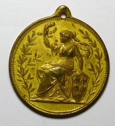 Autriche Austria Österreich 1888 "" Exposition Jubilaire "" PRATER Medal - Austria