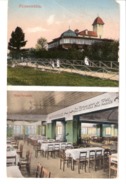 Deutschland-Gruss Vom Restaurant Felsenmühle-Ebersbach-Neugersdorf (Löbau-Zittau-Görlitz)+/-1920-Veranda-photochromie - Ebersbach (Loebau/Zittau)