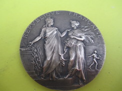 Médaille De Table / Ministère De L'Agriculture/Concours Central Hippique/Paris/Alphée DUBOIS/1925  SPO211 - Equitation