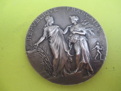 Médaille De Table / Ministère De L'Agriculture/Concours Central Hippique/Paris/Alphée DUBOIS/1924  SPO213 - Ruitersport