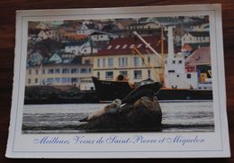 SAINT PIERRE ET MIQUELON  PHOTO CARTE DE VOEUX - Saint Pierre And Miquelon