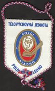 Ice Hockey / Flag, Pennant / Czech Republic / TJ Kladno - Apparel, Souvenirs & Other