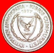 √ SHIP: CYPRUS ★ 5 MILS 1977! LOW START ★ NO RESERVE! - Chypre