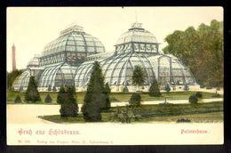 Gruss Aus Schonbrunn Palmenhaus / Long Line Postcard Not Circulated, 2 Scans - Souvenir De...