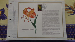 Andorra. Feuillet CEF Fleur Marcolic Groc - Covers & Documents