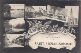 Saint Aignan Sur Roe 53 (195) Souvenir De Saint-Aignan-sur-Röe - Saint Aignan Sur Roe