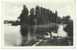 CPSM CHATELLERAULT, ILE JOANY, LAVEUSE, LAVANDIERE, Format 9 Cm Sur 14 Cm Environ, VIENNE 86 - Chatellerault