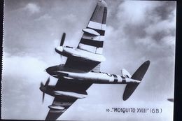 MOSTQUITO    CARTE PHOTO - 1939-1945: 2nd War