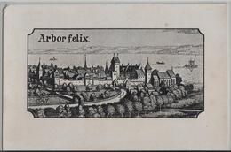 Arbon - Arborfelix - Arbon