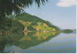 Lac De Lauerz Unused - Lauerz