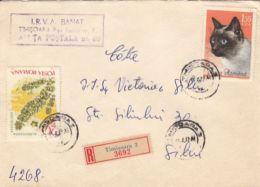 WATERWHEEL PLANT, DOMESTIC CAT, STAMP ON REGISTERED COVER, 1967, ROMANIA - Briefe U. Dokumente