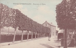 62 - FAUQUEMBERGUES  - Avenue Et Gare - Fauquembergues