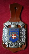 INSIGNE POMPIERS (pucelle)     SAPEURS POMPIERS De Chambery - Pompiers