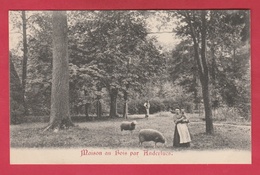 Anderlues - Maison Au Bois ... Personnages ... Moutons ( Voir Verso ) - Anderlues