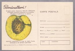 PEACH, FRUITS, POMICULTORI , POST CARD STATIONERY  ROUMANIE, 1974 - Cartas & Documentos