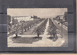 CPSM  De  MEKNES Maroc  L'Esplanade Du Docteur Giguet   Le 19 3 1956  En F.M.  Pour VANNES  Morbihan - Guerra D'Algeria