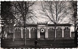 VILLENEUVE DE MARSAN ... LES ARENES  ... 1954 - Villeneuve De Marsan