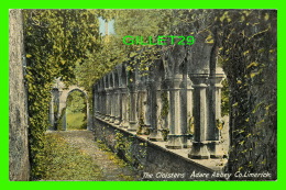 LIMERICK, IRLANDE - THE CLOISTERS, ADARE ABBEY - LAWRENCE, PUBLISHER - - Limerick