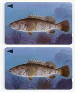 Bahrain - Grouper Fish Of Bahrain - 39BAHS (Different Serials - Probably (O-Ø);; 1996, Used - Bahrain