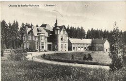 Ochamps - Libramont - Château De Ronfay - Circulé 1910 - Impr. Pinson-Croix, Libramont - SUPER - Libin