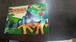 Israel- Post Card-the Amazon-touching The Jungle In Eilat-(frogs Poisonous) - Schildkröten