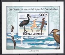 2009 Comores  Stamps Cormorant S/S Imperforated Stamp - Hirondelles