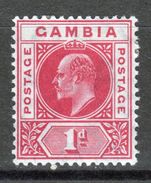 Gambia Edward VII Definitive 1d Stamp From 1904. - Gambia (...-1964)