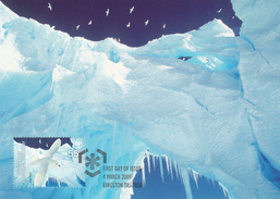 Australian Antarctic Territory 2009 Poles And Glaciers, Snow Petrels, Maximum Card - Maximum Cards