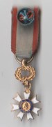 MEDAILLE  MINIATURE EDUCATION CIVIQUE 1933 - France