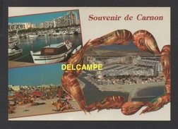 DF / 34 HERAULT / MAUGUIO-CARNON / CARNON-PLAGE / VUE AÉRIENNE GENERALE, LE PORT ET LA PLAGE - Mauguio