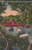 Florida Silver Springs Boats Leaving Docks - Silver Springs