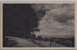 Zürichberg - Blick Von Der Batteriestrasse Oberhalb Allmend Fluntern - Fluntern