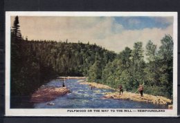 Canada - Pulpwood On The Way To The Mill  -  Newfoundland - Altri & Non Classificati