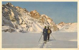 Suisse - Swiss - A Identifier - Sports D'hiver - Ski - N° 67 - C.E.L.A. Genève - état - Port