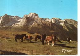 Le Bearn - Col D' Aubisque - 1981 - Bearn