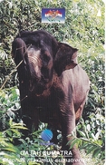 TARJETA DE INDONESIA DE UN ELEFANTE (ELEPHANT) - Indonesia