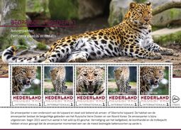 Nederland  2017  Bedreigde Dieren  Endangered Animals  14  PANTER     Blok-m/s    Postfris/mnh/neuf - Ongebruikt