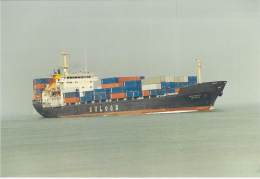 " FEO MNAEB " Ceo Limey BULCON ** Lot Of/de 3 ** PORTE CONTAINER - CARRIER DOOR - PHOTO 1980-2001 - Cargo - Cargos