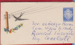 SWALLOWS BIRD BIRDS ROMANIA POSTAL STATIONERY LILIPUT - Hirondelles