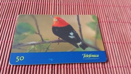 Phonecard Bird - Songbirds & Tree Dwellers